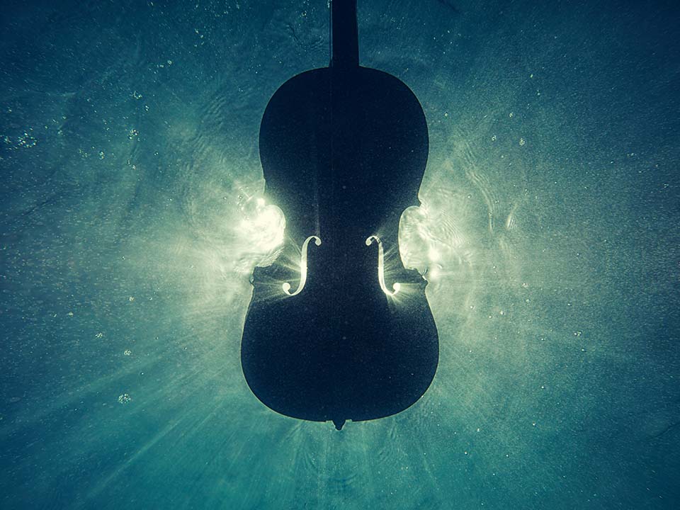 A violin in water